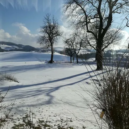 Ferienhaus Jenny *