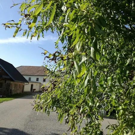 Jenny Holiday home *