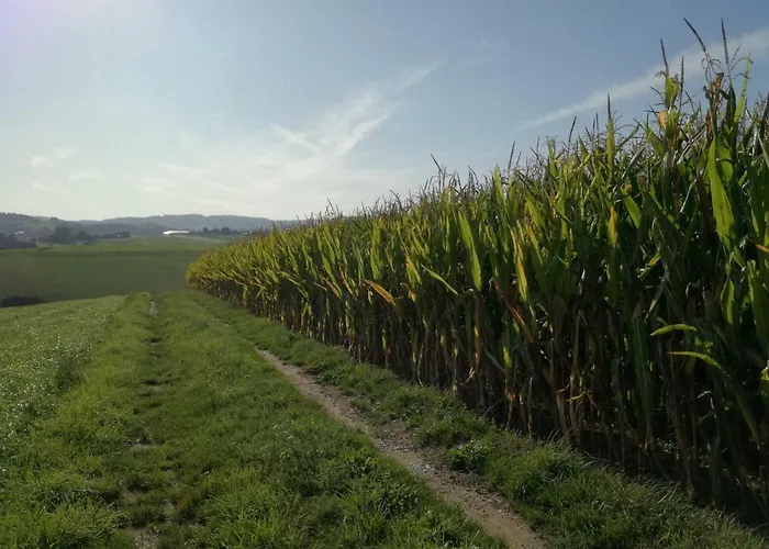 Jenny * Lembach im Mühlkreis
